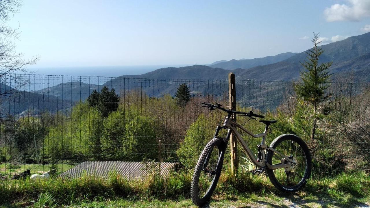 Casa Di Anna Bed & Breakfast Tovo San Giacomo Екстериор снимка